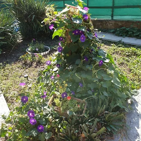 Ваканционни Къщи Nyaraló